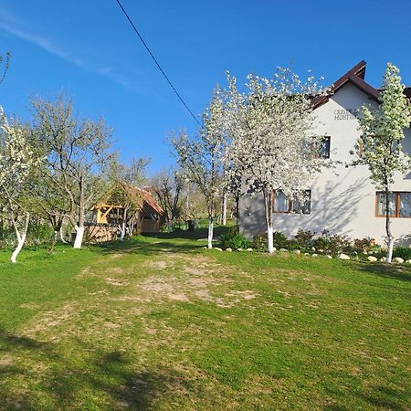 ホテル Casa Cristalul Muntilor Poiana Mărului エクステリア 写真