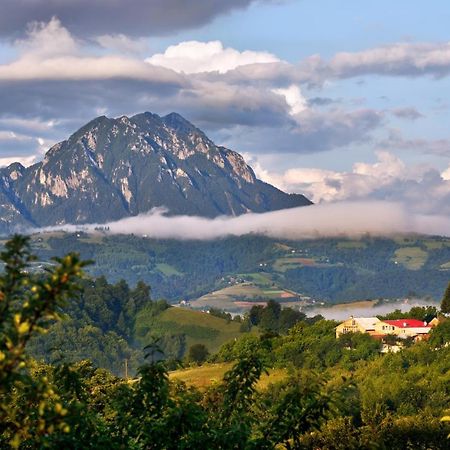 ホテル Casa Cristalul Muntilor Poiana Mărului エクステリア 写真