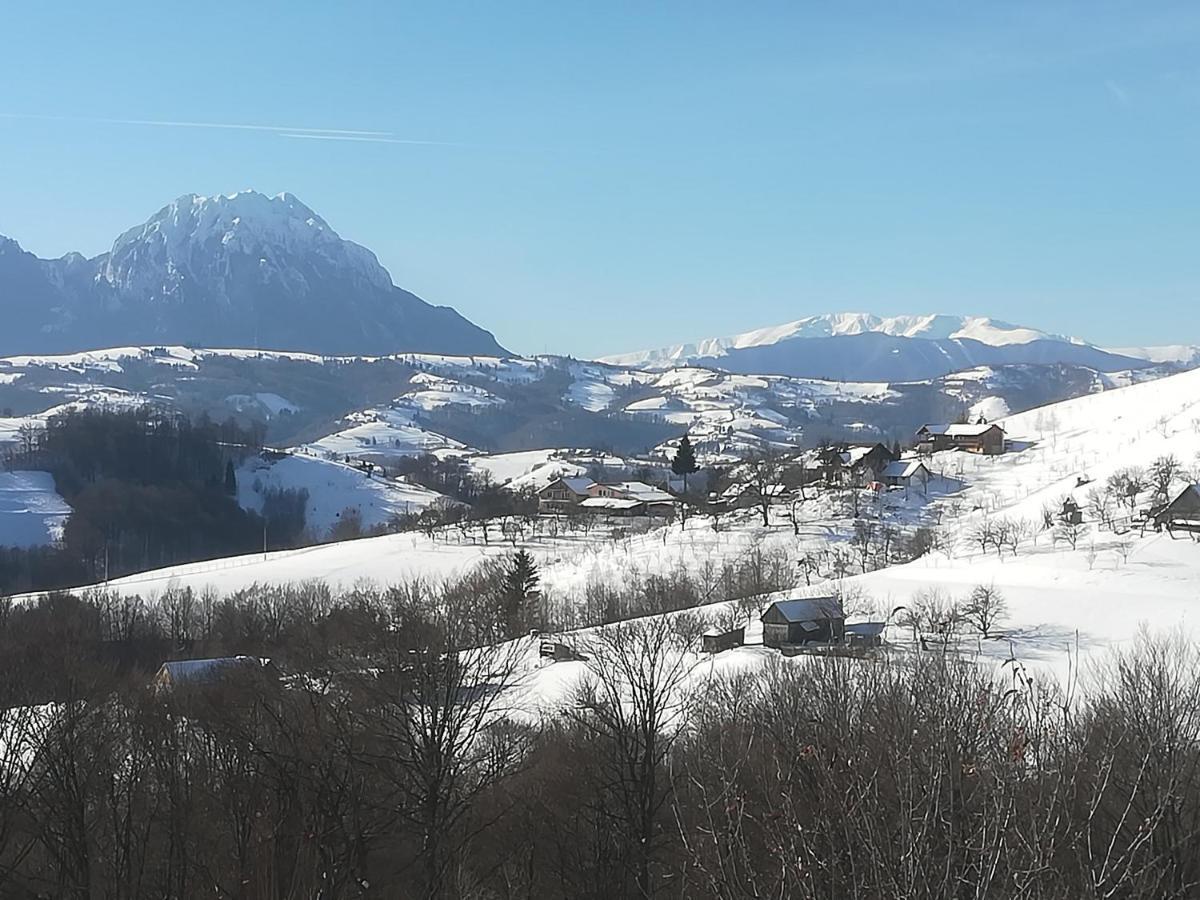 ホテル Casa Cristalul Muntilor Poiana Mărului エクステリア 写真