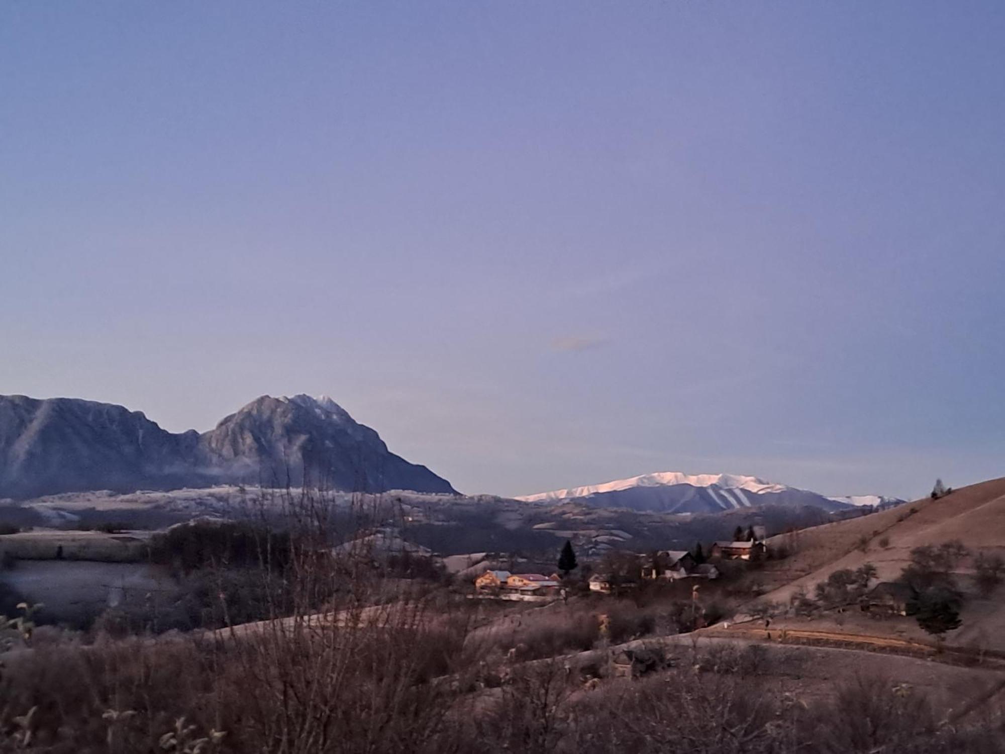ホテル Casa Cristalul Muntilor Poiana Mărului エクステリア 写真