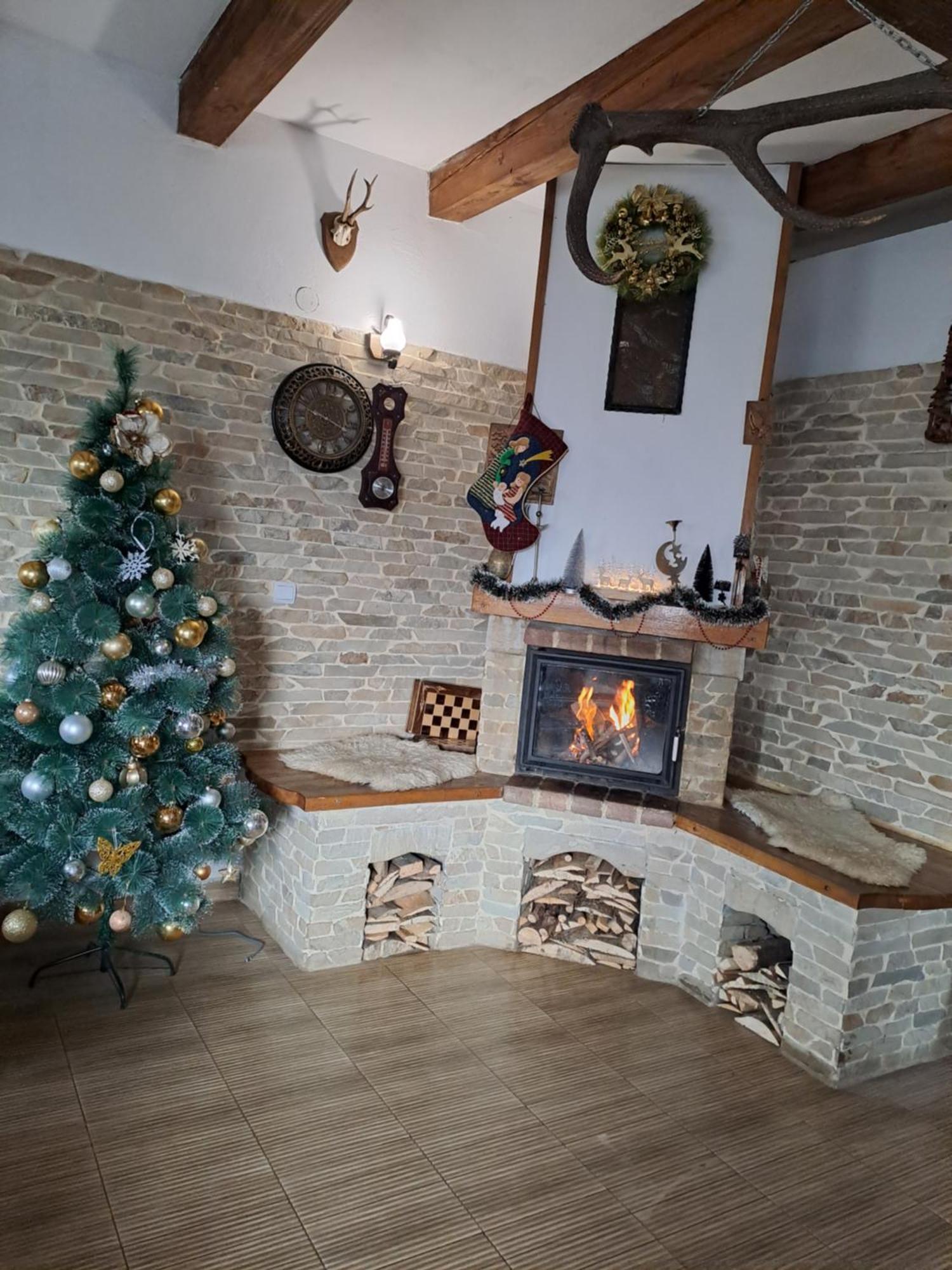 ホテル Casa Cristalul Muntilor Poiana Mărului エクステリア 写真