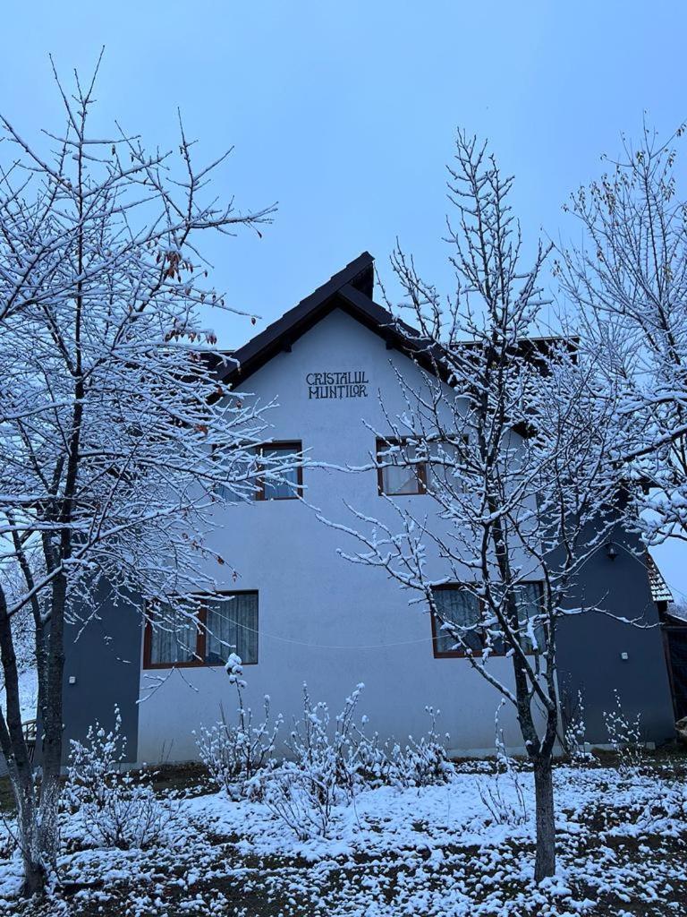 ホテル Casa Cristalul Muntilor Poiana Mărului エクステリア 写真