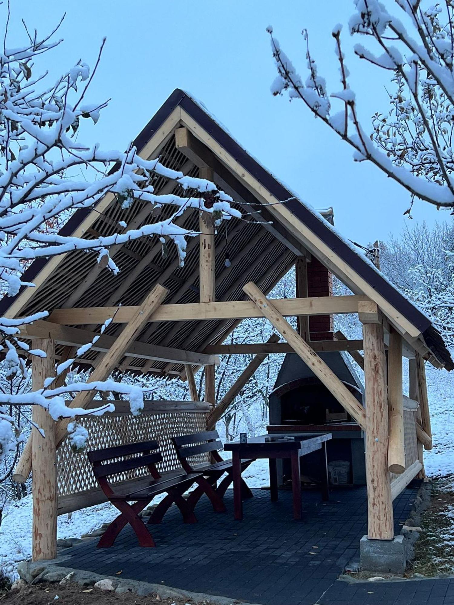 ホテル Casa Cristalul Muntilor Poiana Mărului エクステリア 写真
