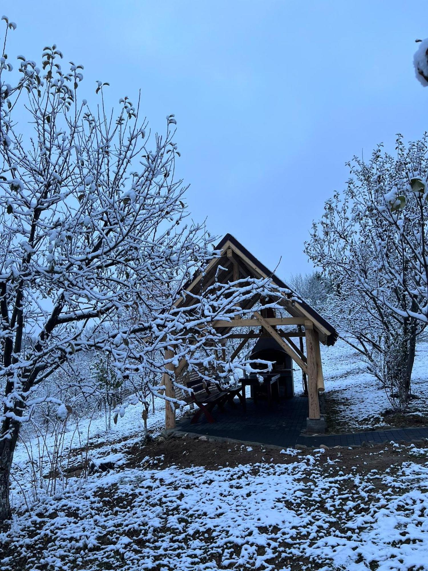 ホテル Casa Cristalul Muntilor Poiana Mărului エクステリア 写真