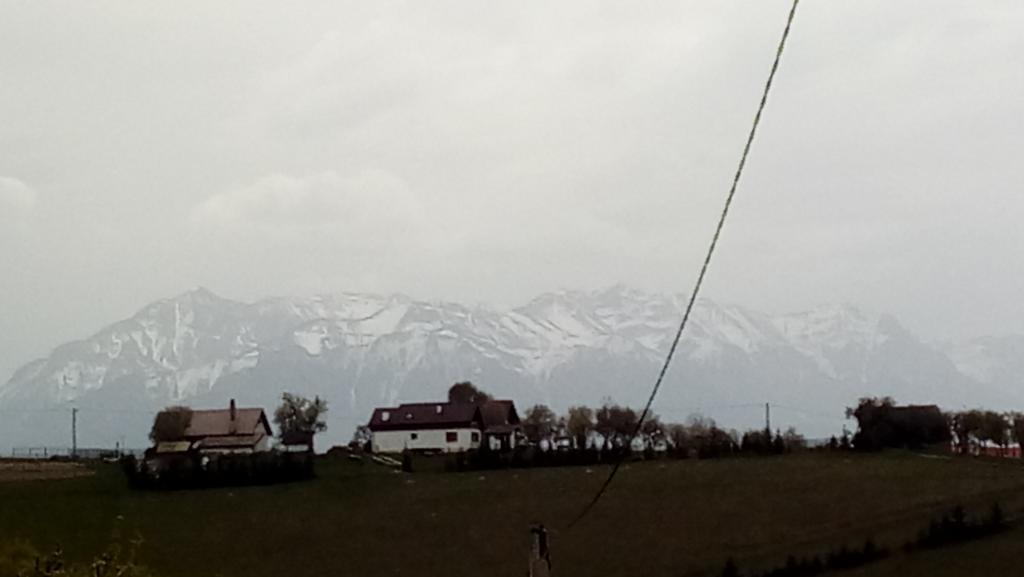 ホテル Casa Cristalul Muntilor Poiana Mărului エクステリア 写真