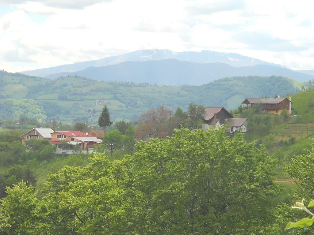 ホテル Casa Cristalul Muntilor Poiana Mărului エクステリア 写真