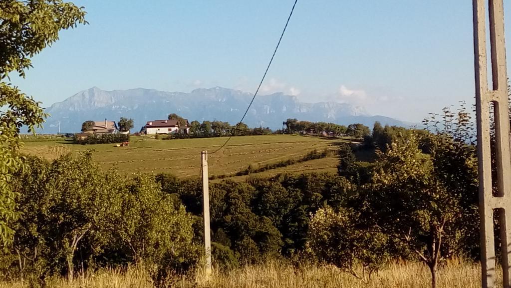 ホテル Casa Cristalul Muntilor Poiana Mărului エクステリア 写真
