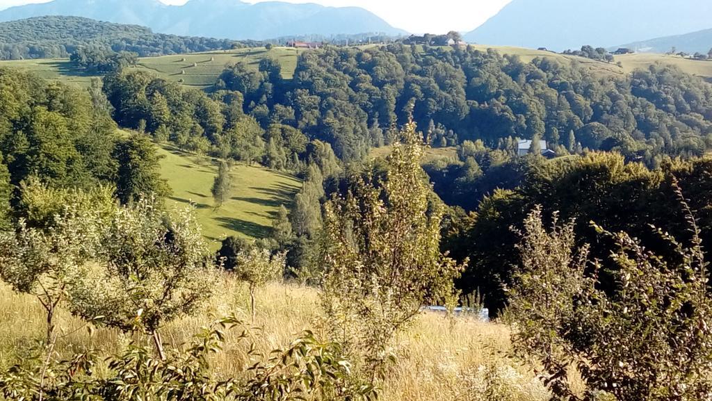 ホテル Casa Cristalul Muntilor Poiana Mărului エクステリア 写真