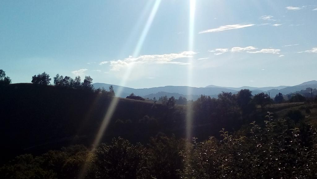 ホテル Casa Cristalul Muntilor Poiana Mărului エクステリア 写真
