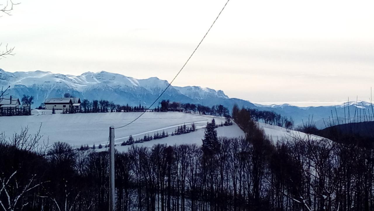 ホテル Casa Cristalul Muntilor Poiana Mărului エクステリア 写真