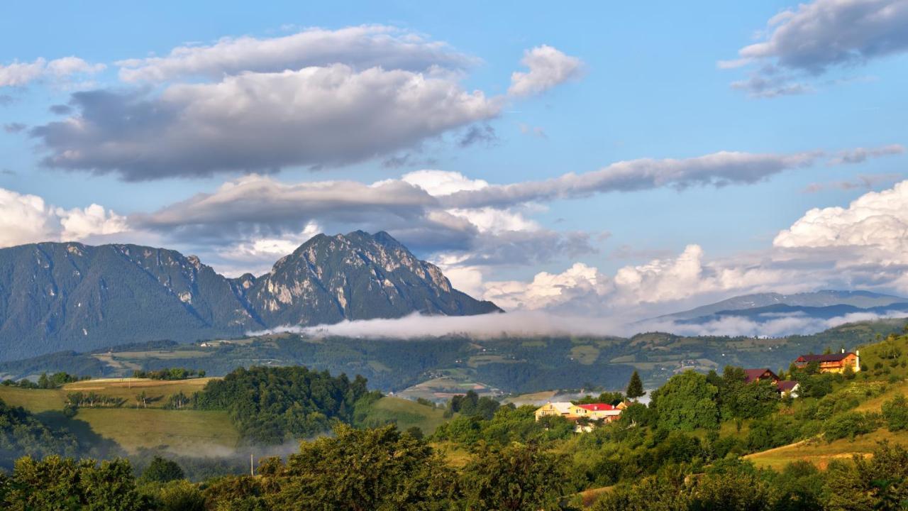 ホテル Casa Cristalul Muntilor Poiana Mărului エクステリア 写真