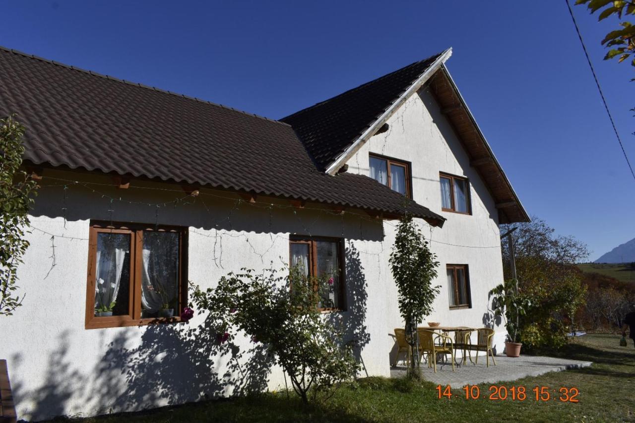 ホテル Casa Cristalul Muntilor Poiana Mărului エクステリア 写真