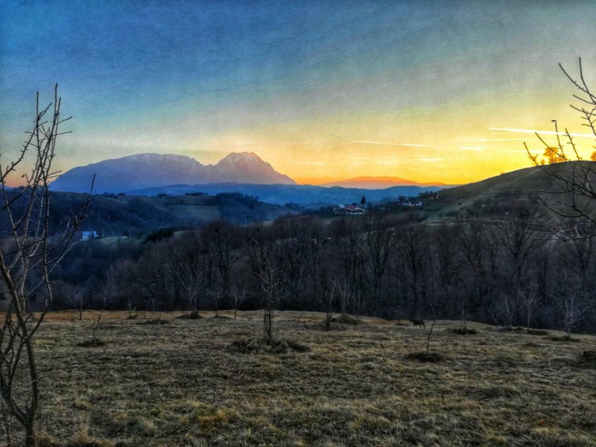 ホテル Casa Cristalul Muntilor Poiana Mărului エクステリア 写真